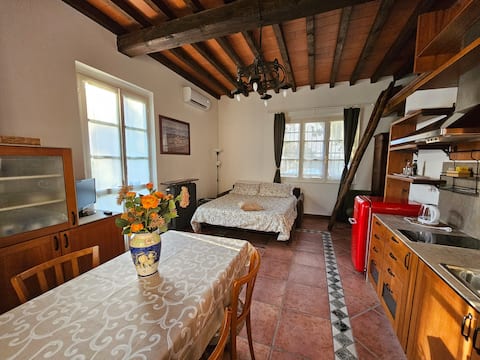 Top Airbnb: Il Glicine, a stone's throw from the lake in Mandello Del Lario