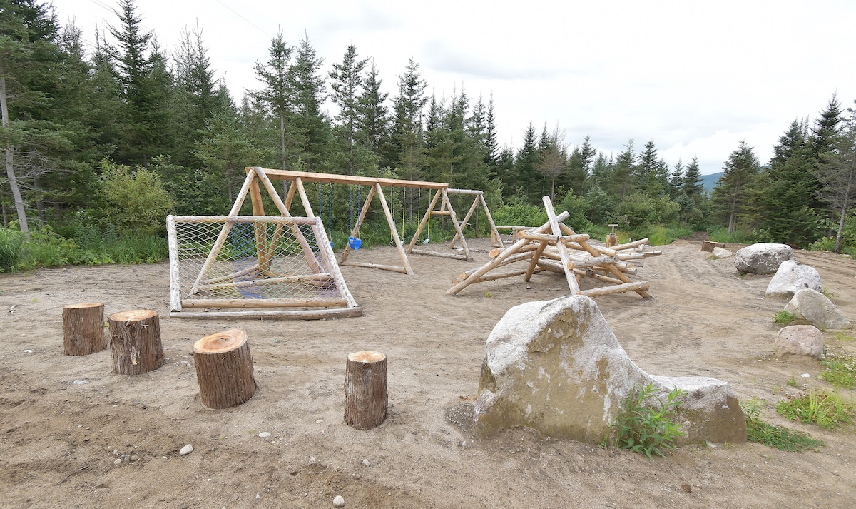 An outdoor play area is depicted, featuring a wooden swing set with two swings and a climbing structure made from logs. Surrounding the area, natural elements such as large stones and stumps create a rustic atmosphere, with dense trees visible in the background.