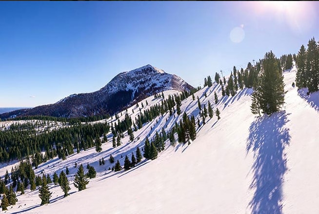 A snow-covered hillside is depicted, showcasing gentle slopes adorned with evergreen trees. The bright blue sky contrasts with the white landscape, while sunlight casts long shadows across the snow, creating a serene winter scene.