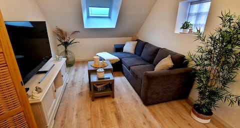 Top performing Airbnb: Charming and spacious apartment in Auxerre