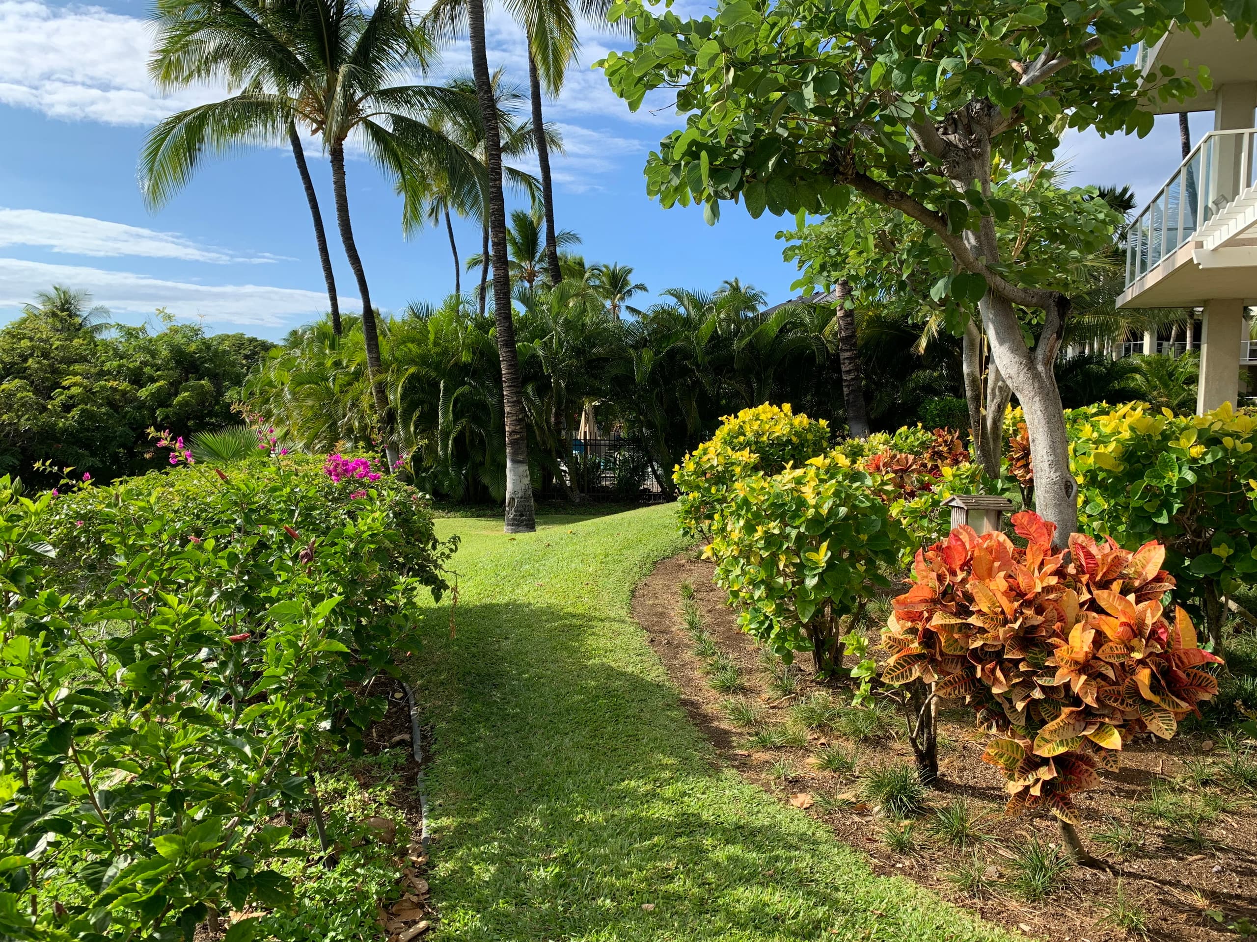 Vibrant Vista Waikoloa - Photo 30