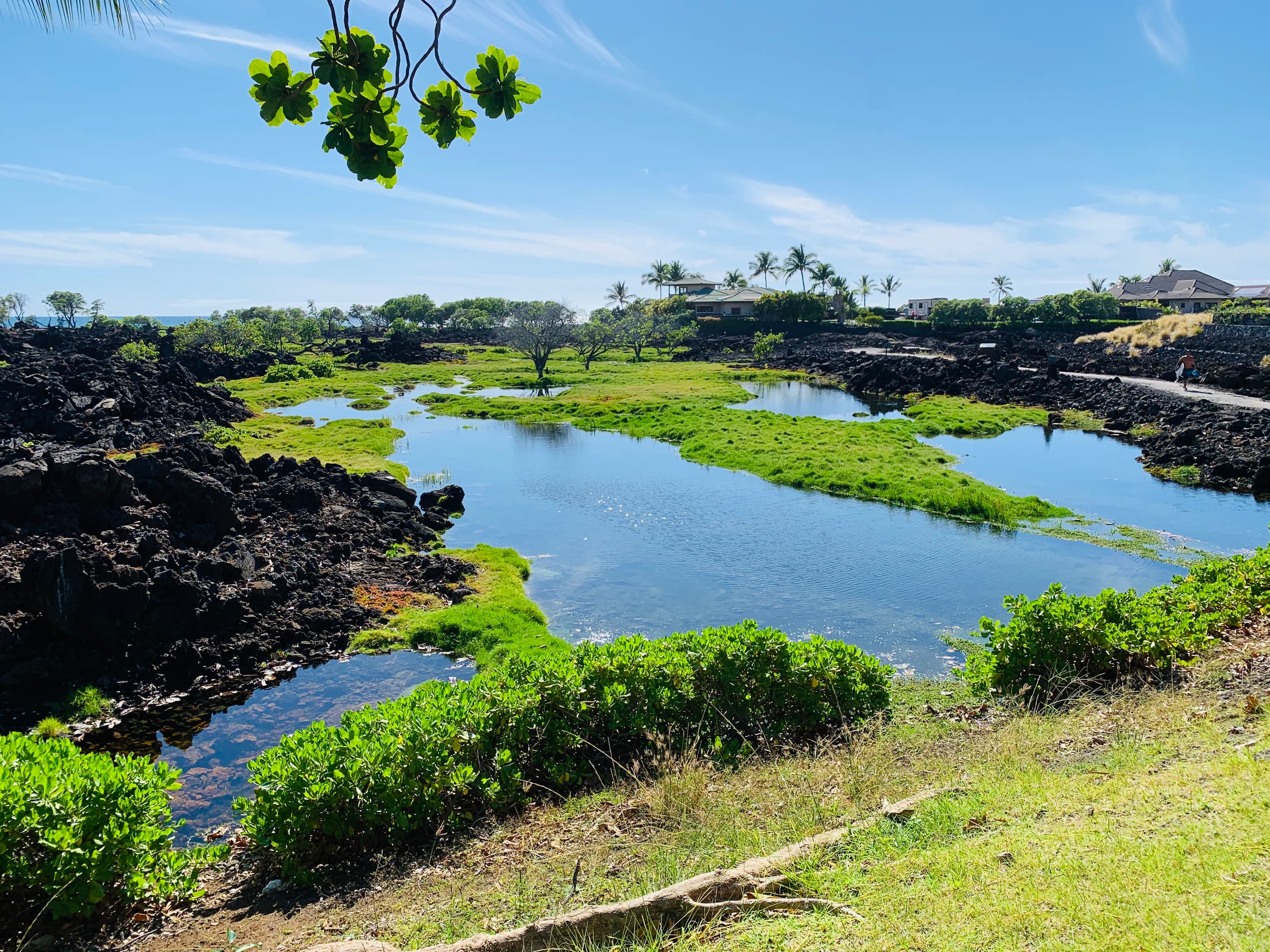 Vibrant Vista Waikoloa - Photo 39