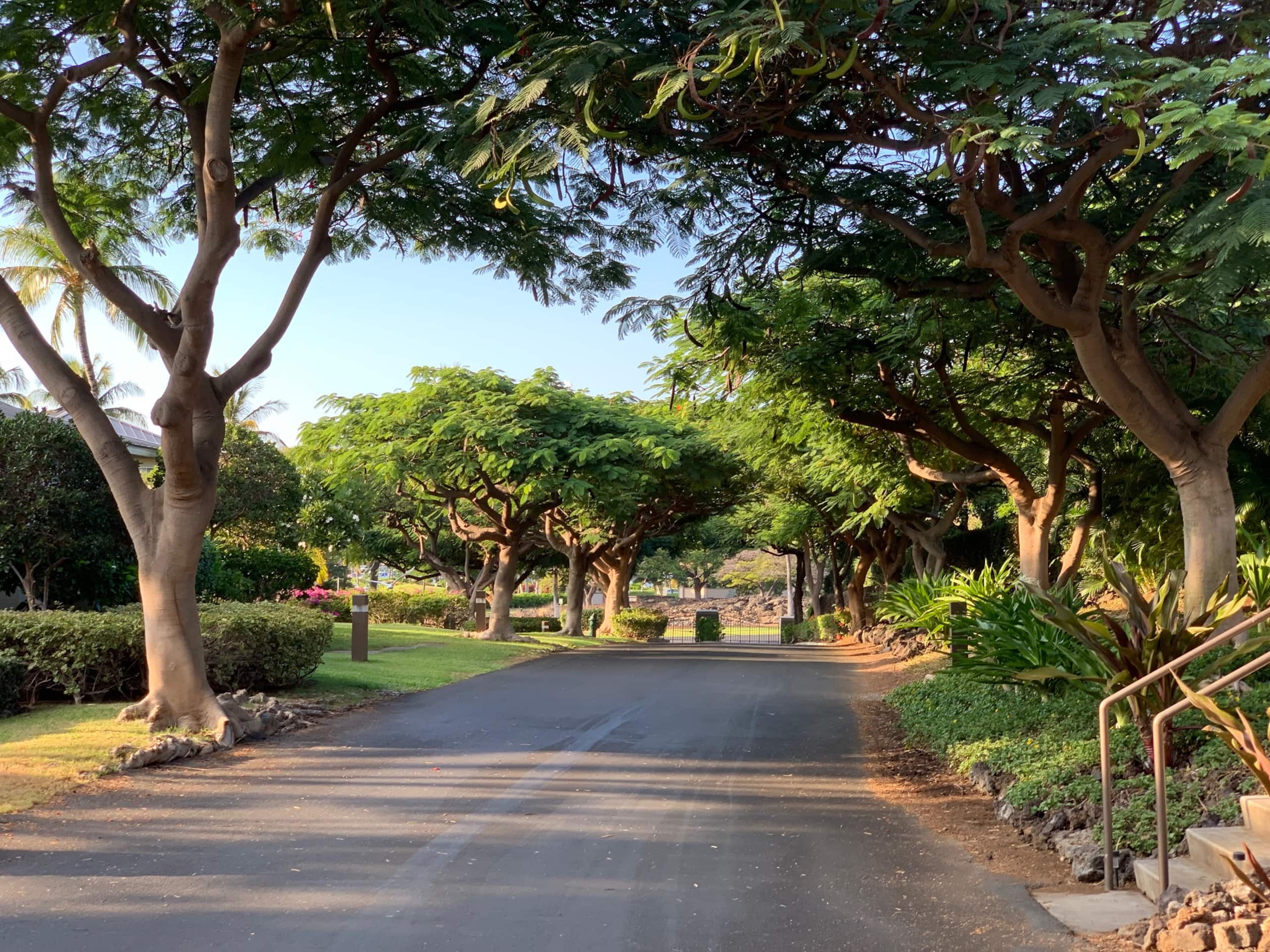 Vibrant Vista Waikoloa - Photo 35