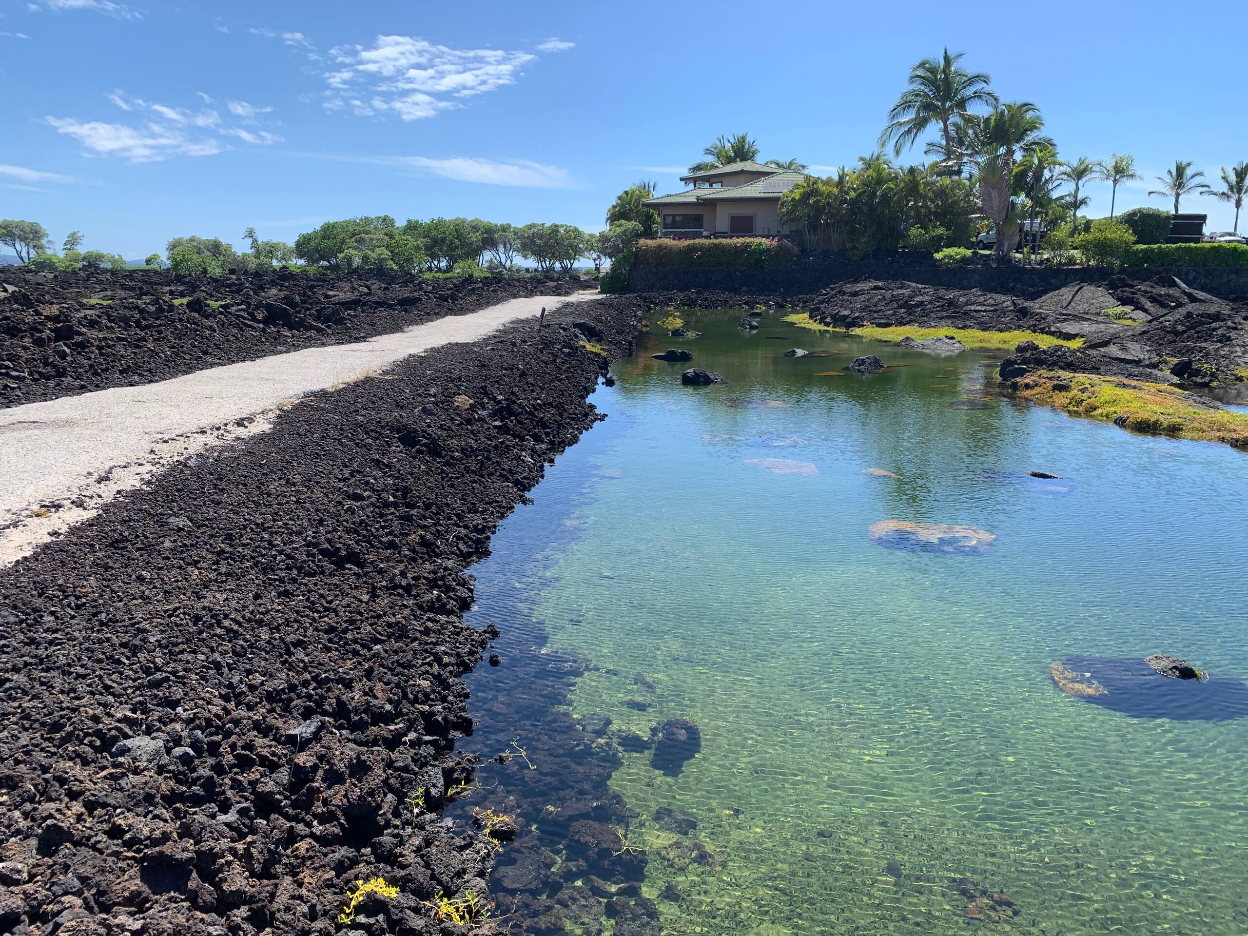 Vibrant Vista Waikoloa - Photo 41