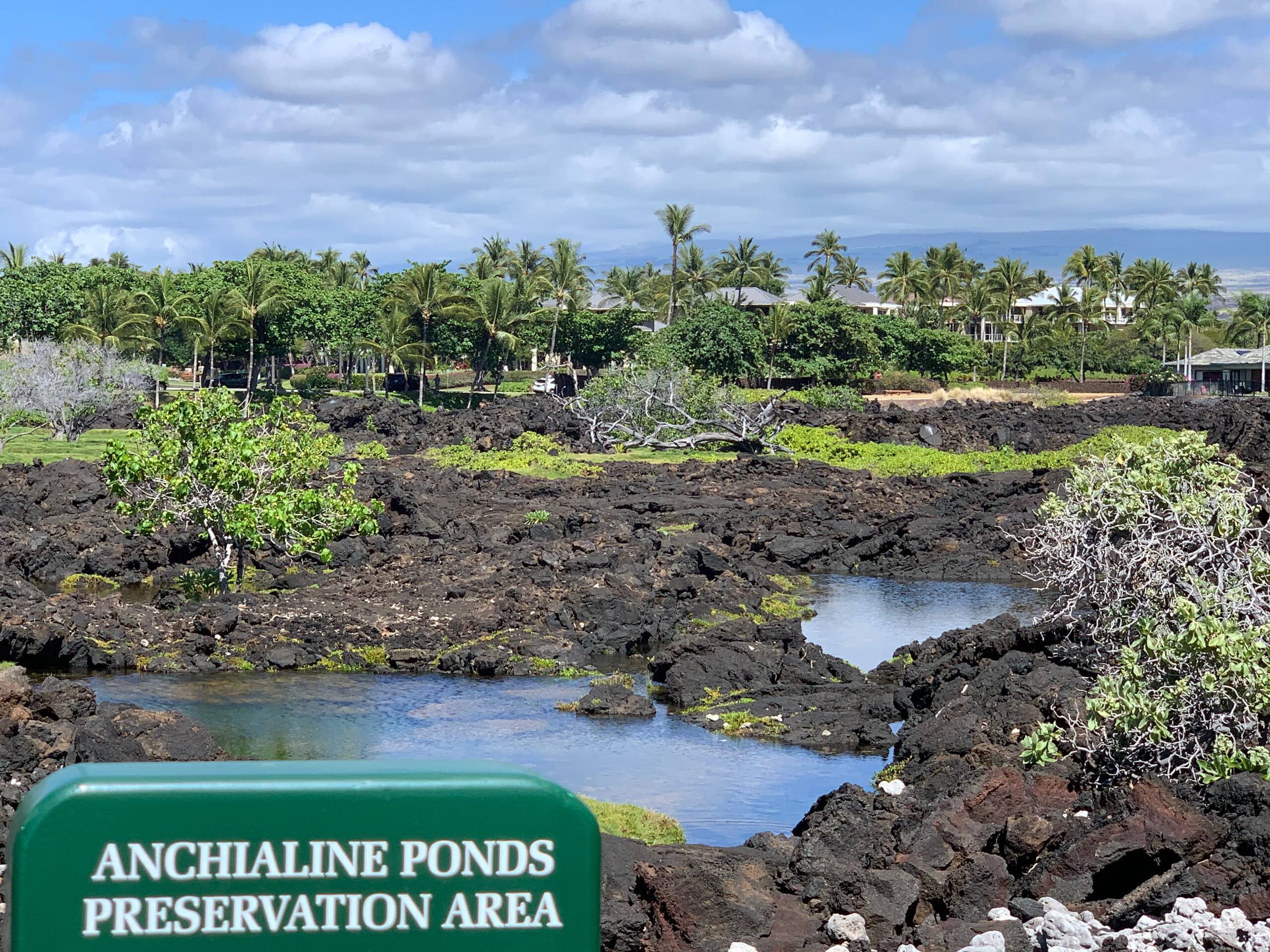 Vibrant Vista Waikoloa - Photo 38