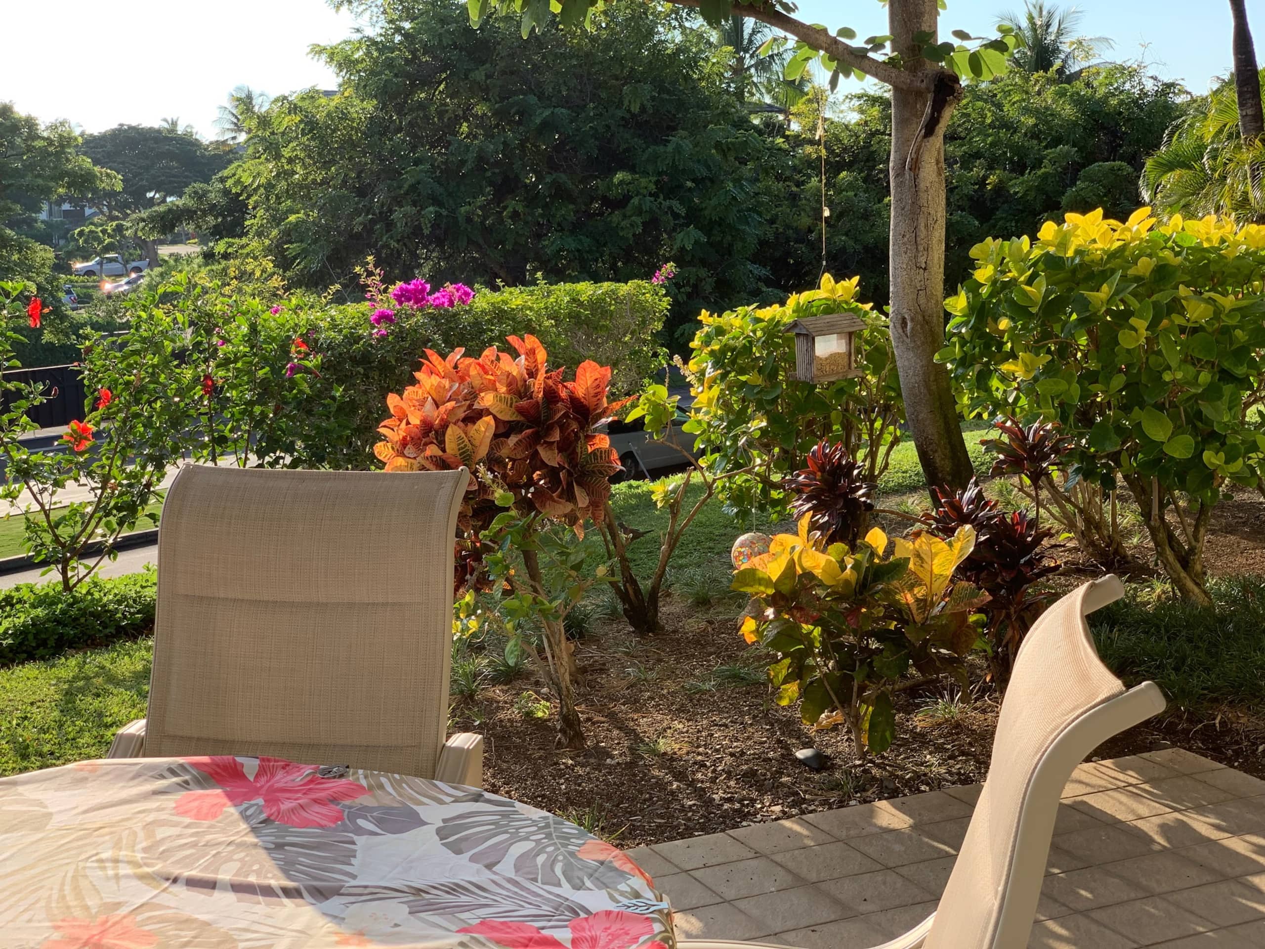 Vibrant Vista Waikoloa - Photo 31