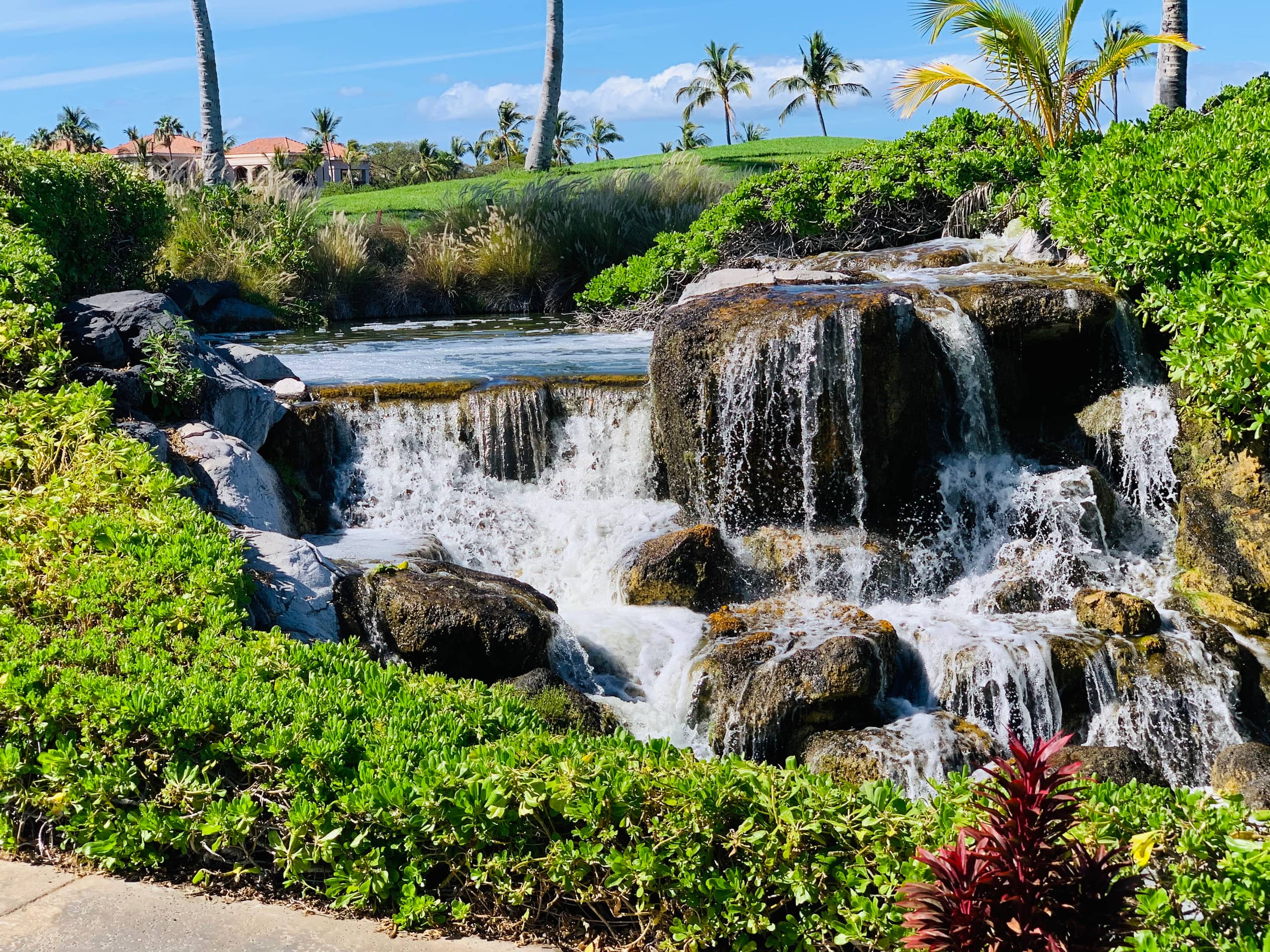 Vibrant Vista Waikoloa - Main photo