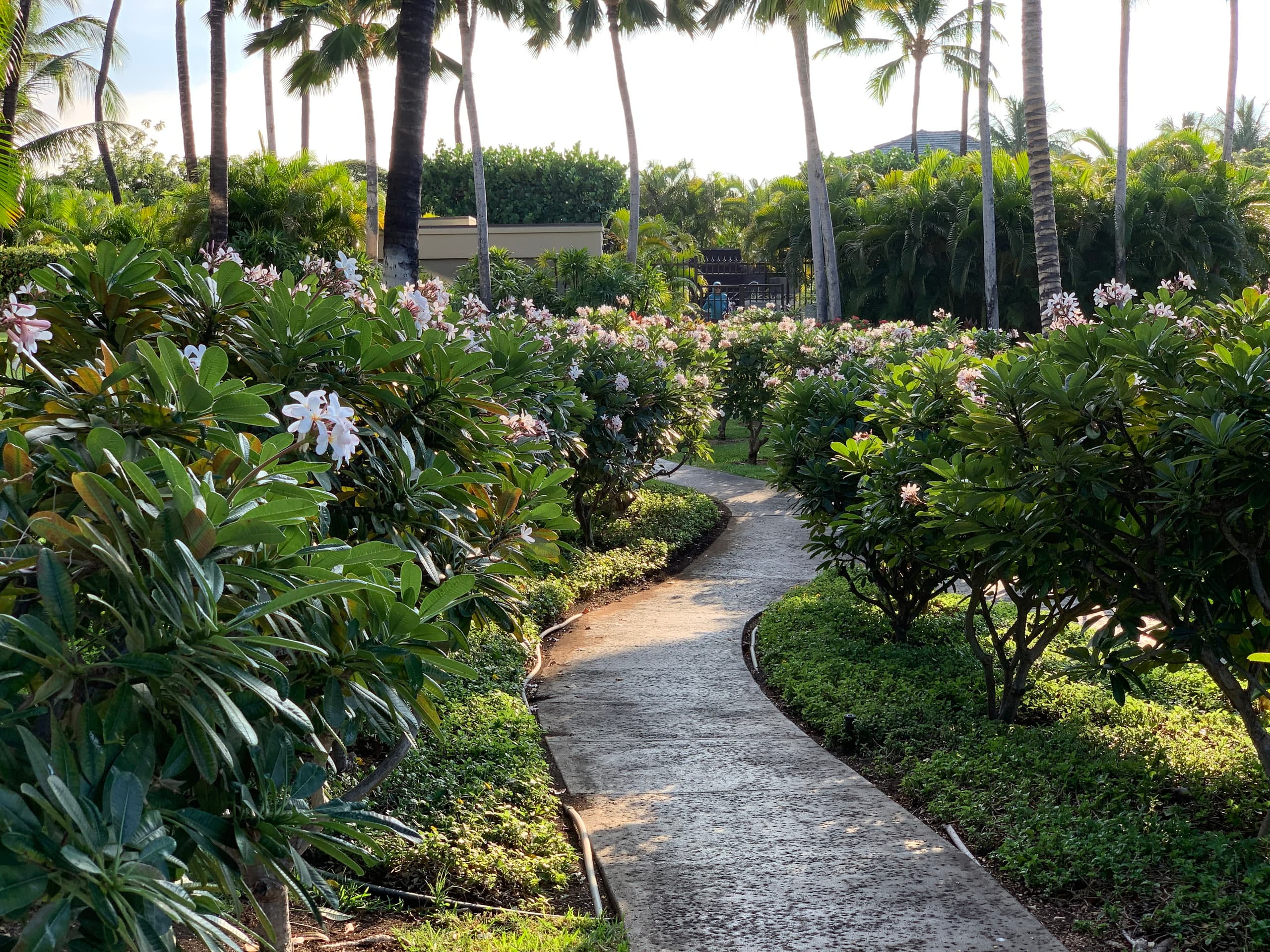 Vibrant Vista Waikoloa - Photo 32