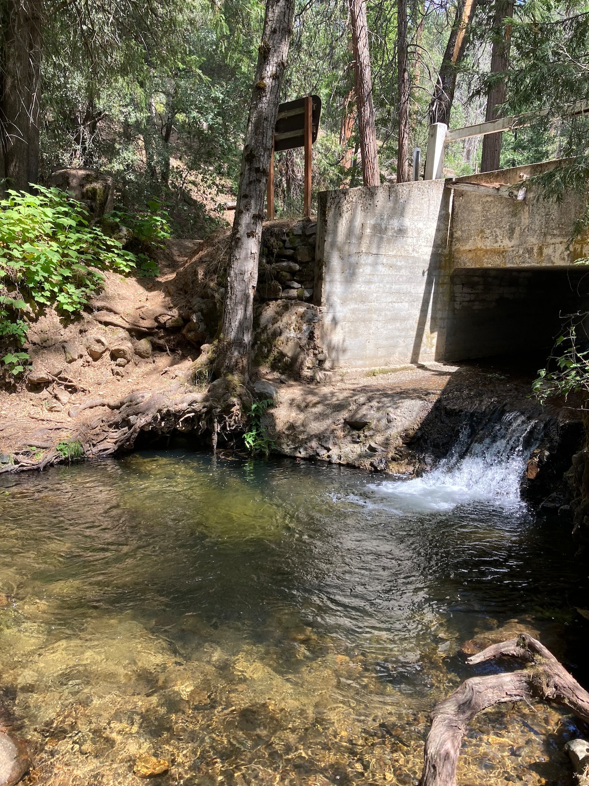 A serene creek is depicted flowing gently beneath a concrete structure, surrounded by lush greenery and natural rock formations. Sunlight filters through the trees, creating a tranquil atmosphere. The water is clear, revealing smooth stones at the bottom, while a small waterfall adds to the peaceful setting.