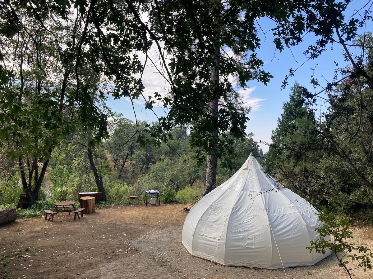 A spacious white belle tent is nestled among trees in a natural setting, with a clear sky visible above. Nearby, picnic tables and seating areas are present, complementing the tranquil outdoor ambiance.