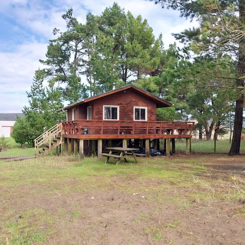 Curtain Waves, Sea View