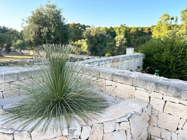 Villa Magis gallery image 4