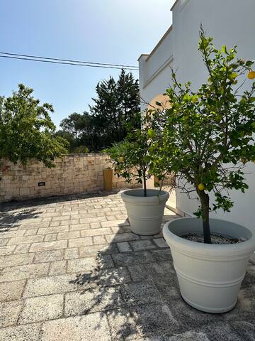 Villa Magis gallery image 2