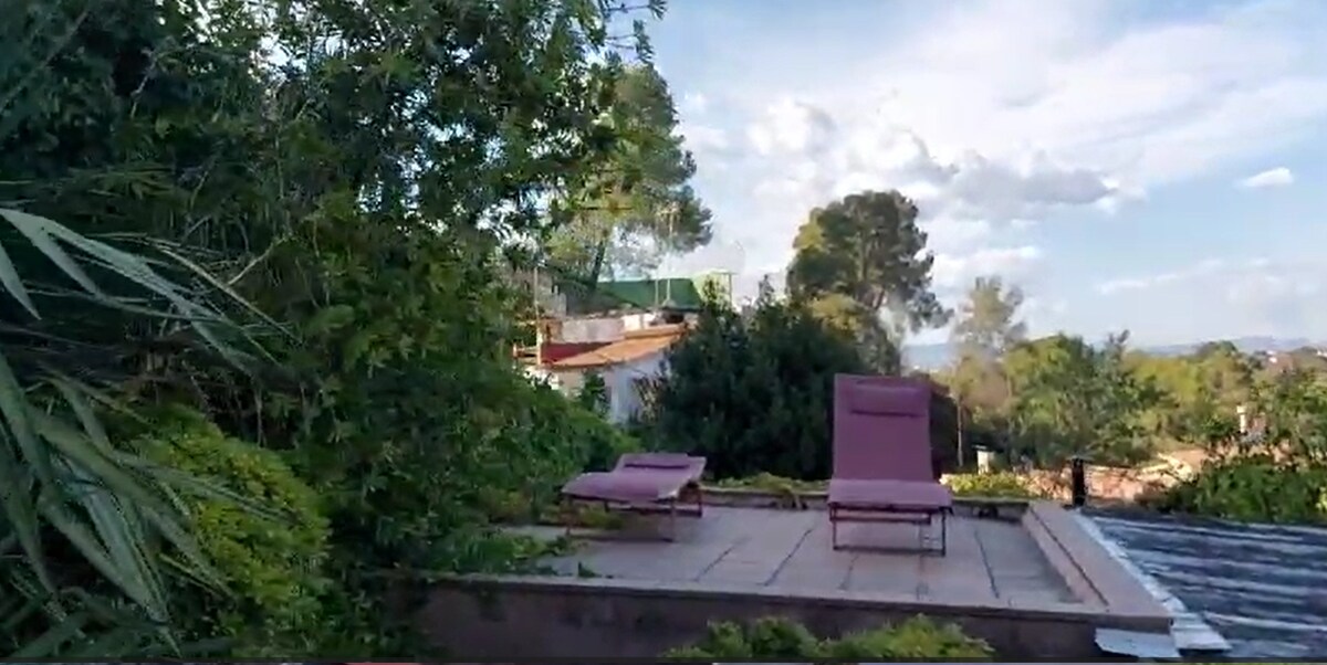 A sun terrace is situated among greenery, featuring two lounge chairs positioned for relaxation. Surrounding plants provide a natural setting with a backdrop of trees and distant structures, offering a serene environment for guests to enjoy.