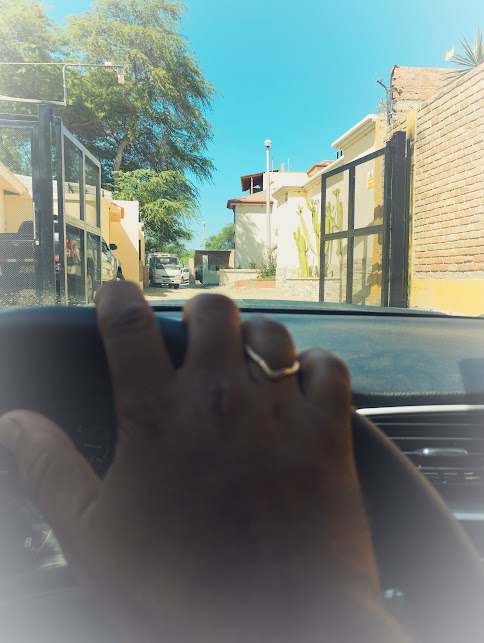 An upward view from inside a vehicle shows a set of open gates leading into a residential area. Sunlight filters through the trees lining the path, while a glimpse of nearby buildings can be seen in the background.