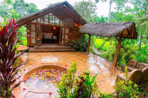 Suchipakari Lodge - Suite Deluxe