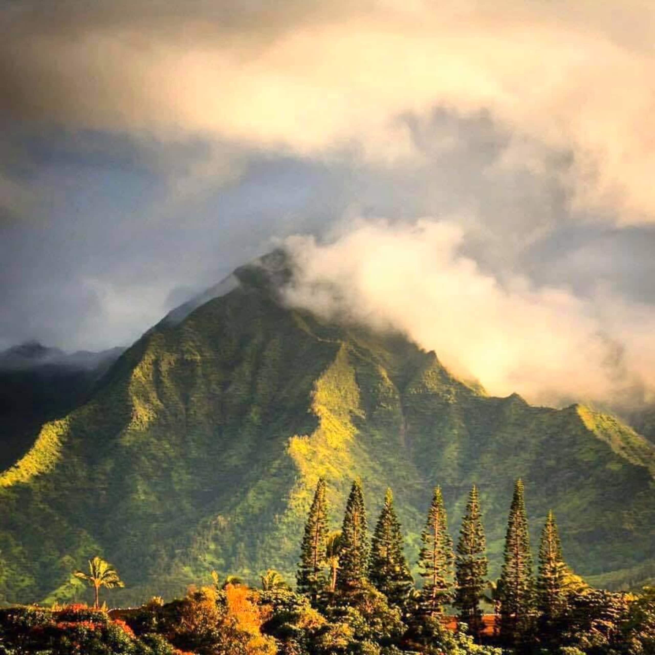 Home in Princeville · ★5.0 · 2 bedrooms · 2 beds · 2.5 baths - Image 42