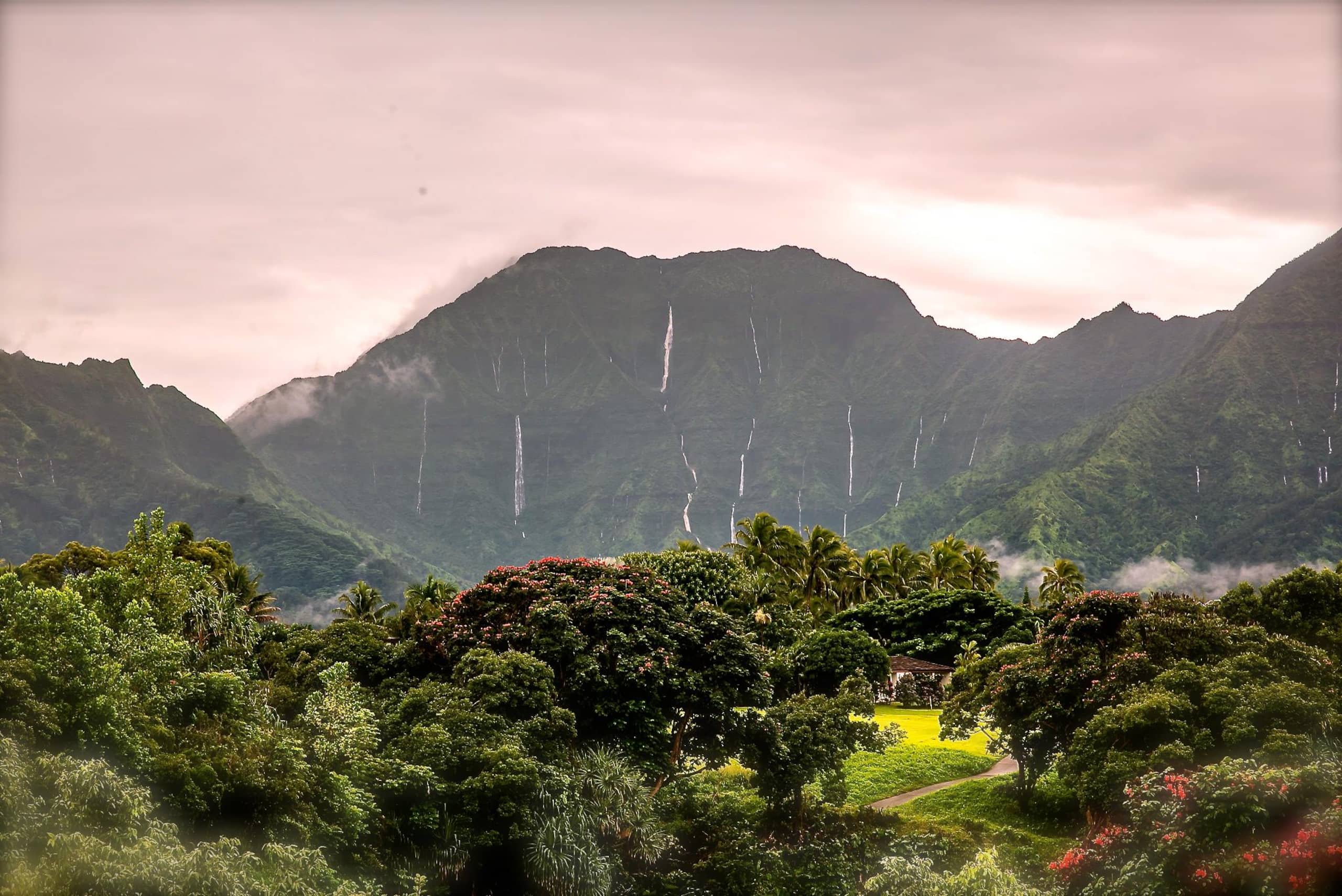 Home in Princeville · ★5.0 · 2 bedrooms · 2 beds · 2.5 baths - Image 52