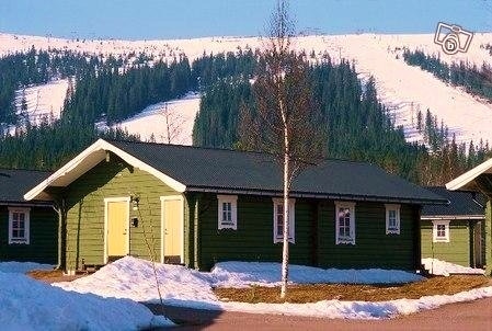 A green timber cottage is depicted with a sloped roof and bright yellow doors. Snow is visible in the foreground, contrasting with the surrounding greenery. The backdrop showcases a snow-capped mountain and forested hills, contributing to the tranquil mountain setting.
