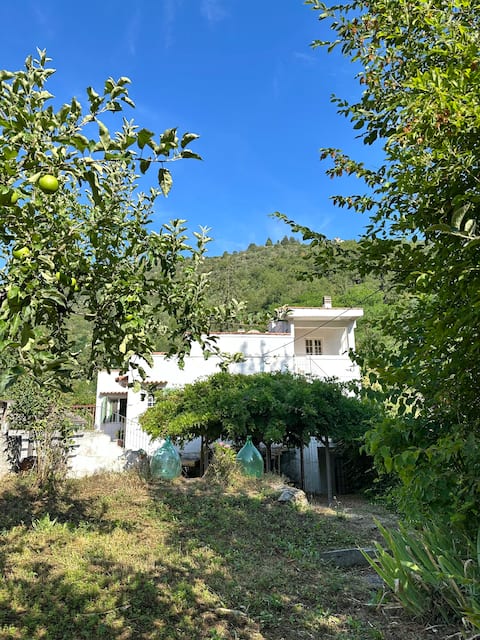 Riverside Ligurian home & garden