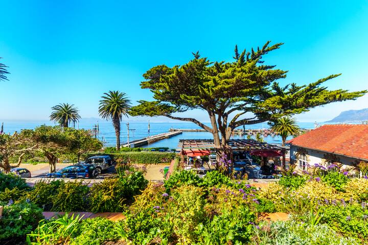 Majestic Apartment in Kalk Bay gallery image 2