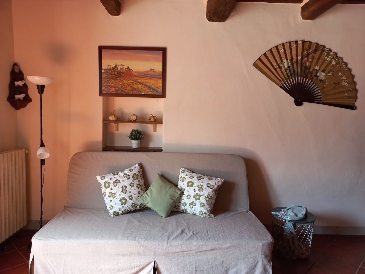 Successful Airbnb property: LUCCA La Casa dei Nonni - A/C-Garden-Parking-BBQ in Lucca