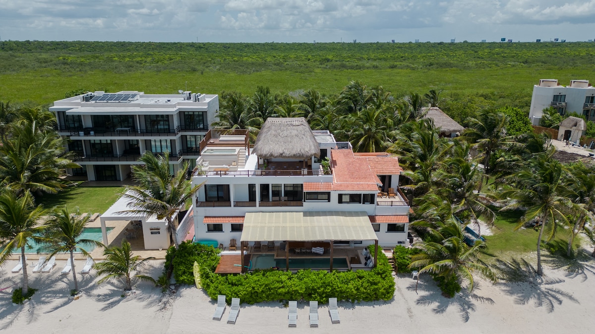 An aerial view captures the beachfront villa nestled among lush palm trees, with a thatched roof above a spacious terrace. The infinity pool glimmers nearby, while the sandy beach stretches out to the horizon, emphasizing the serene coastal environment.