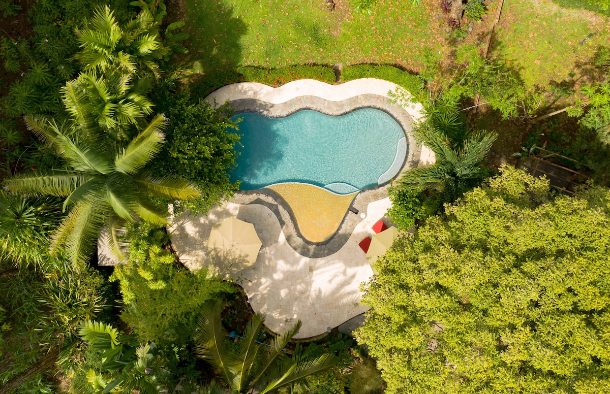 An aerial view of a uniquely shaped swimming pool is surrounded by lush greenery and established gardens. Sun loungers with umbrellas are positioned on the pool deck, providing a relaxing space for guests to enjoy the tropical atmosphere.