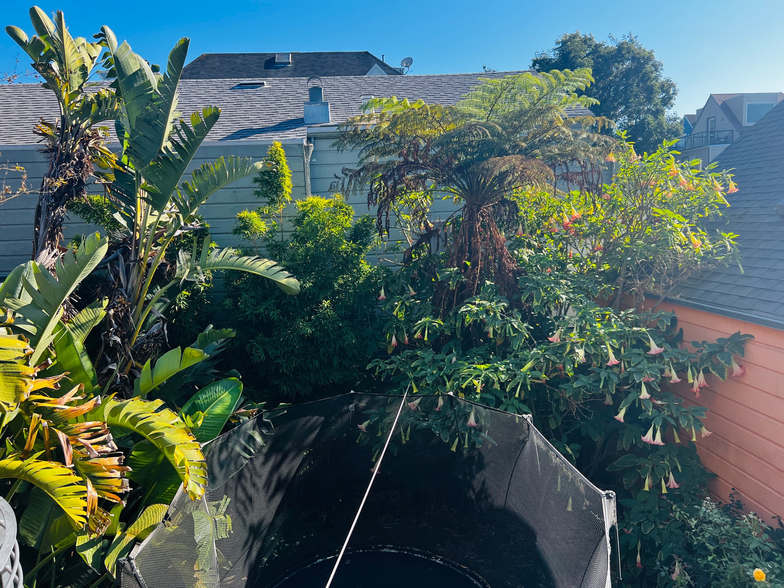 Home in San Francisco · ★4.96 · 3 bedrooms · 4 beds · 2 baths - Image 24