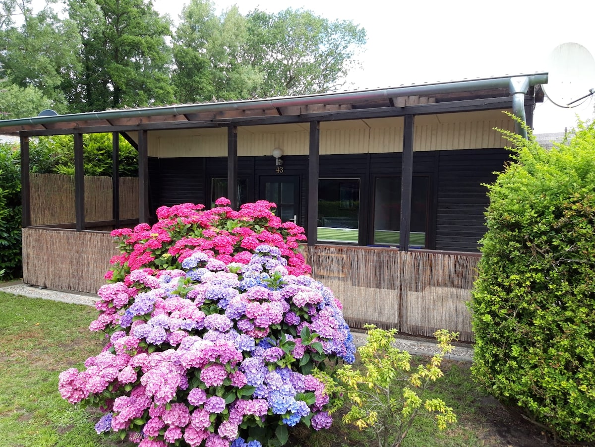A charming bungalow is surrounded by lush greenery and vibrant hydrangeas in shades of pink and blue. The exterior features a covered porch with wooden beams, while large windows allow natural light to enter the interior.