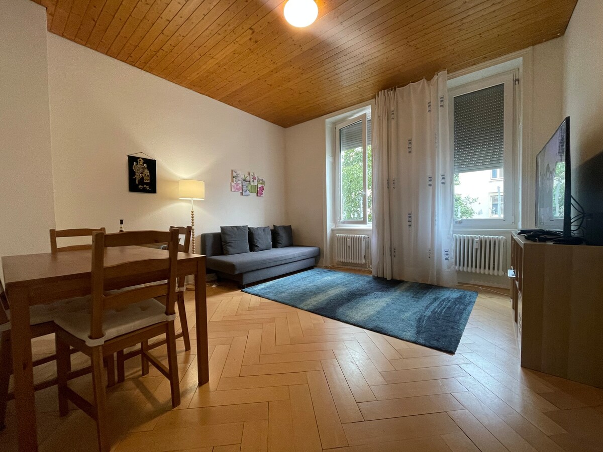 Cozy & Central 2Room Flat in Basel Apartments for Rent in Basel