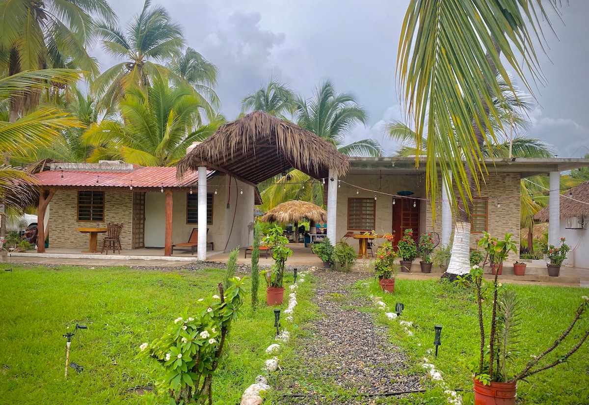 A charming single-story house is framed by lush green grass and palm trees. The front porch features a thatched roof, while the pathways are lined with potted plants. A second structure is visible to the left, connecting the outdoor spaces harmoniously.