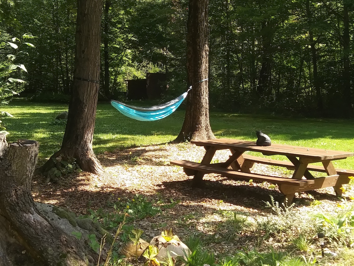 A picnic table is situated in a grassy area, surrounded by trees. A vibrant blue hammock is suspended between two trees, inviting relaxation. Sunlight filters through the leaves, creating dappled light on the ground. A small black cat is perched on the table, adding a serene touch.