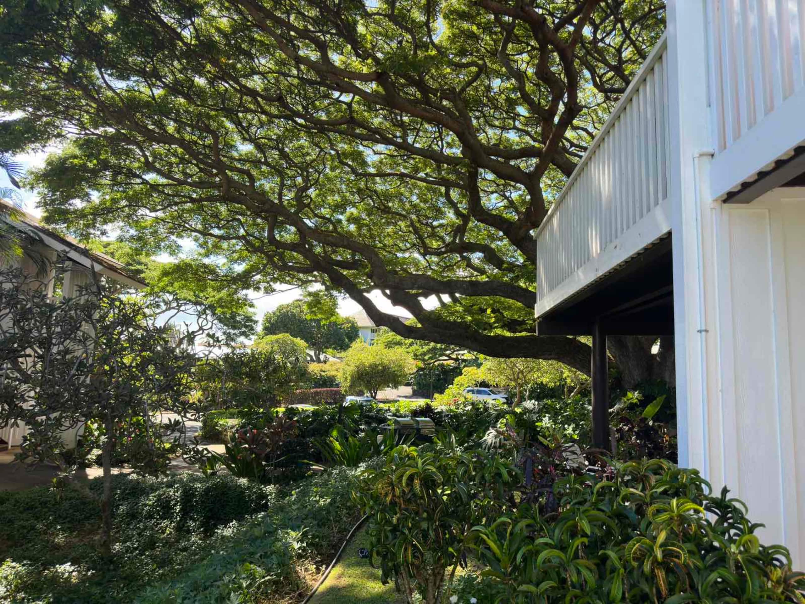 Kiahuna Paradise at Poipu beach with 2 A/C units - Image 26