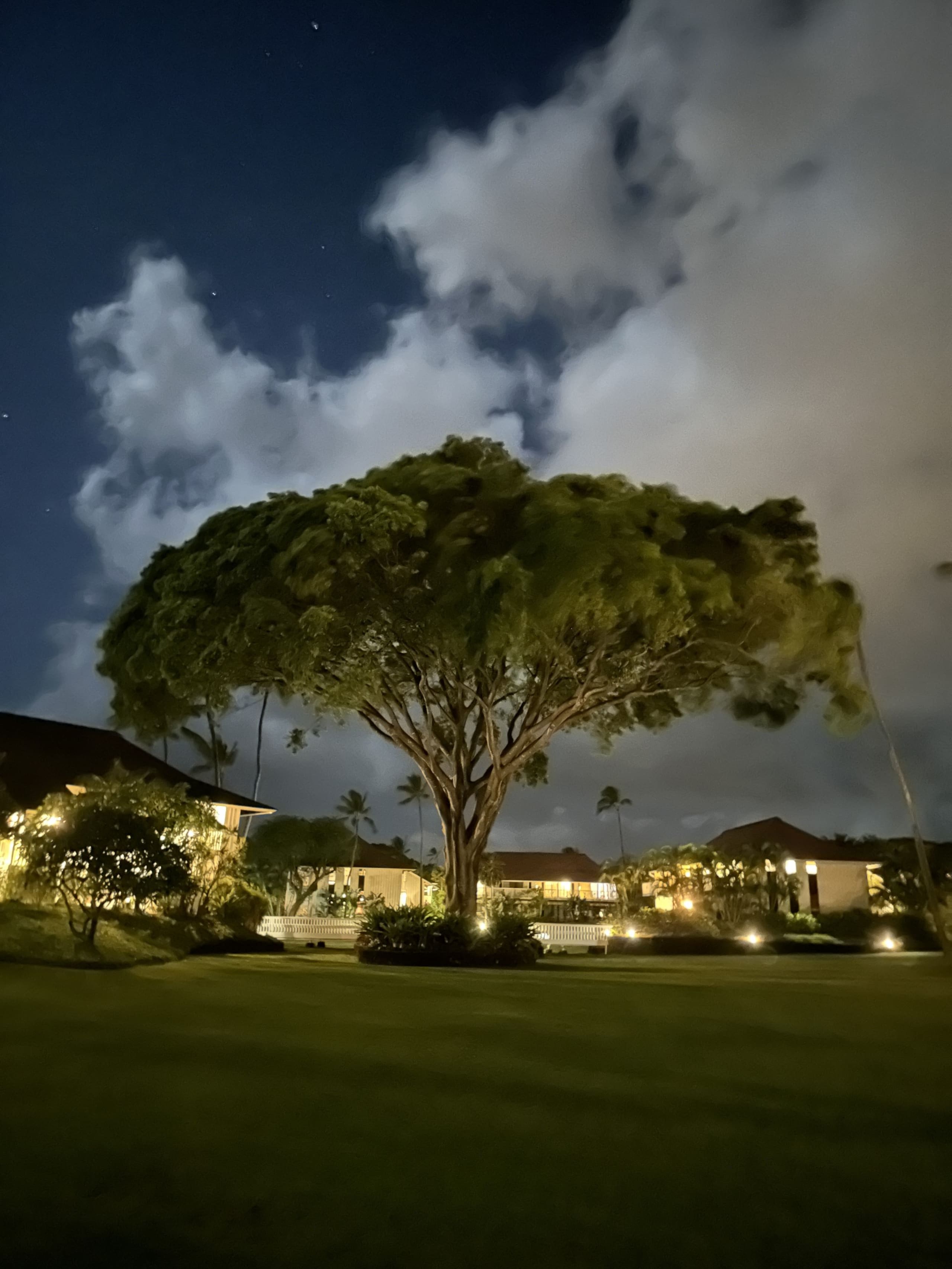 Kiahuna Paradise at Poipu beach with 2 A/C units - Image 50