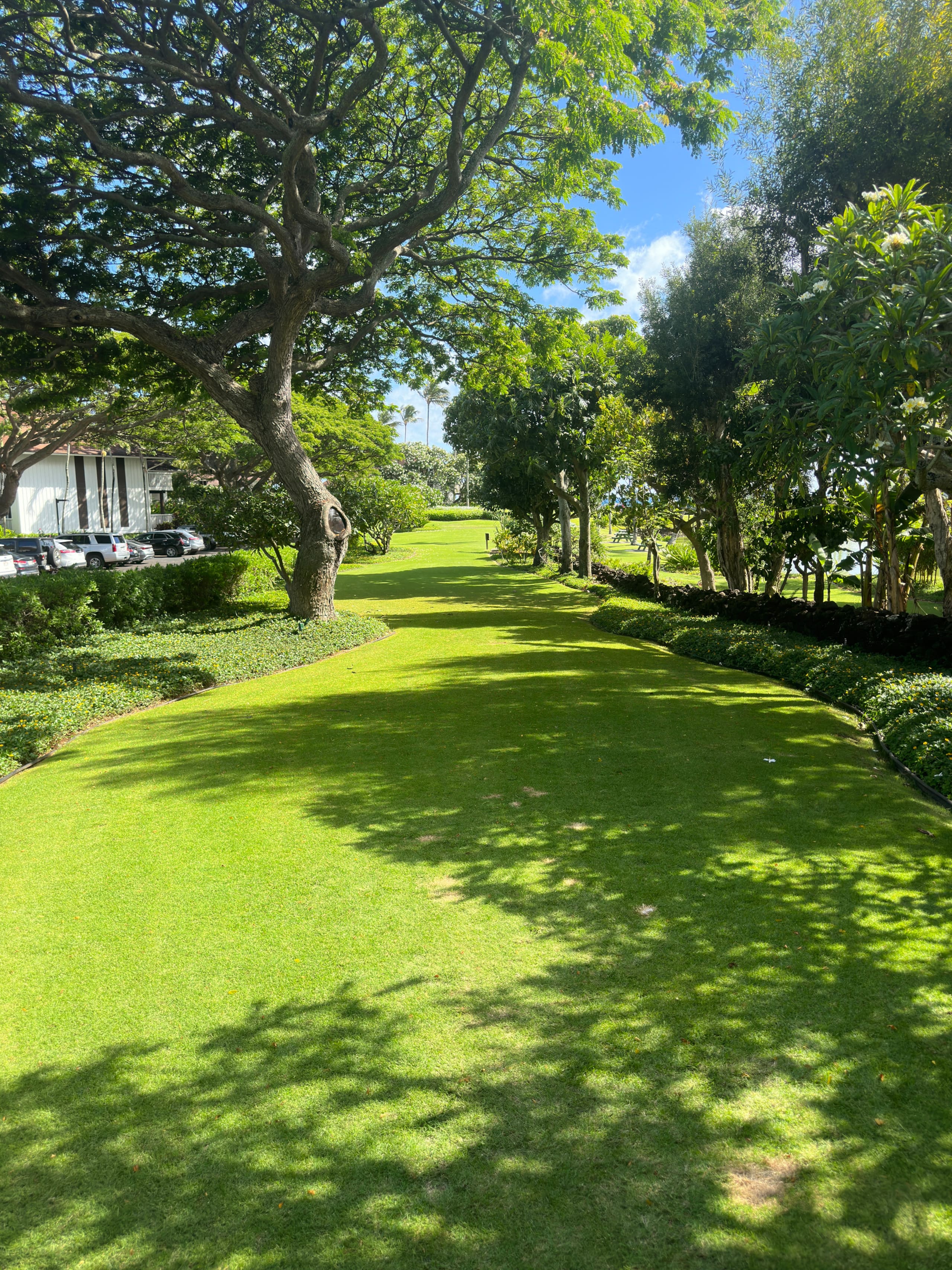 Kiahuna Paradise at Poipu beach with 2 A/C units - Image 28