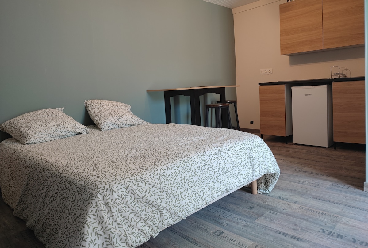 A spacious sleeping area is shown with a large bed dressed in a floral-patterned coverlet. A small kitchenette with wooden cabinetry and a refrigerator is visible, alongside a sleek dining table with a bar stool. The walls are painted in a soft green hue.