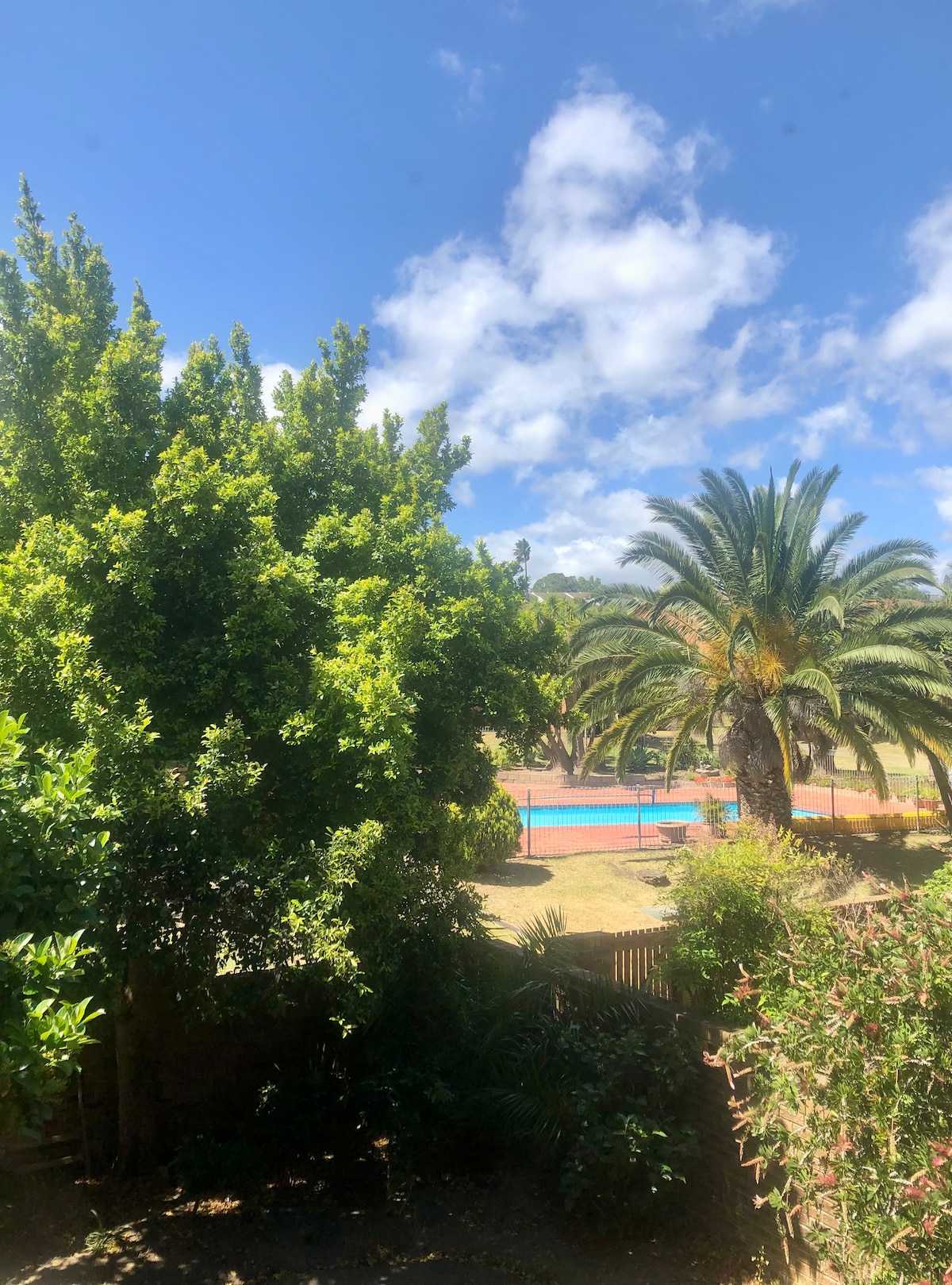 A view from a garden showcases lush green trees and palms under a bright blue sky. The tranquil pool is visible in the background, framed by vibrant landscaping, providing a sense of relaxation and privacy.