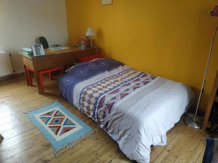 Private Room in House Houses for Rent in Lille, HautsdeFrance