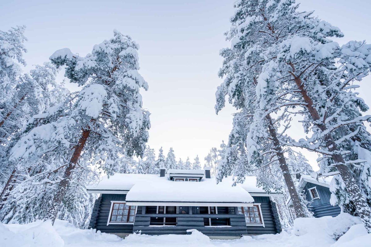 A cozy cabin is surrounded by tall trees, their branches laden with fresh snow. The structure features a sloped roof that is covered in snow, and multiple windows are visible, adding a charming touch to the winter landscape.