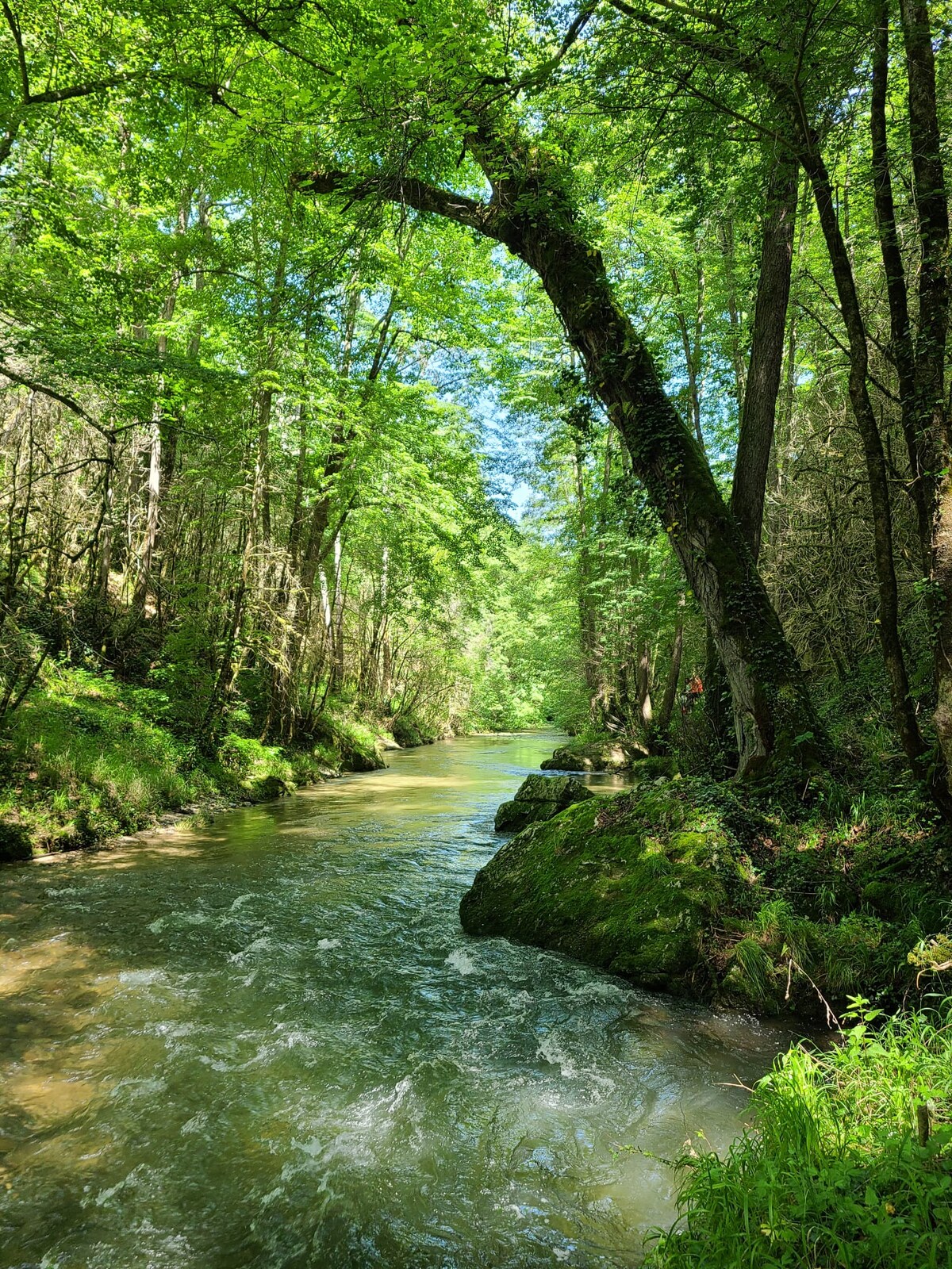 A serene river flows through a lush, green landscape, flanked by tall trees and dense foliage. Sunlight filters through the leaves, casting dappled shadows on the water's surface. Smooth rocks are visible along the riverbank, blending harmoniously with the natural surroundings.