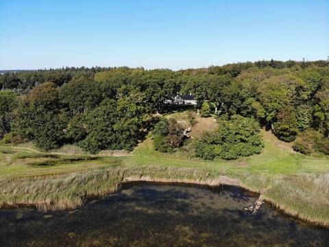 Romantic forest house straight down to the water