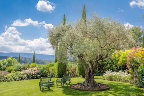 Wonderful house in Provence