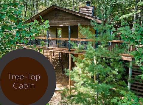 Pet Friendly; hike and fish nearby; Toccoa River