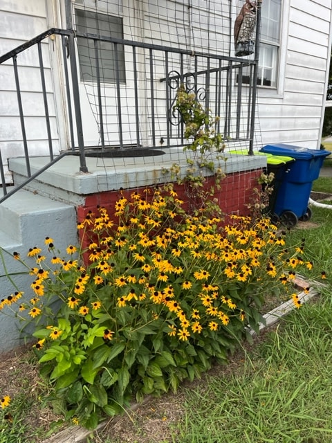 A vibrant patch of yellow flowers grows against a house, their blooms adding color to the exterior. A small staircase leads up to a door, with a railing visible. Trash and recycling bins are positioned nearby, contributing to the home's inviting curb appeal.