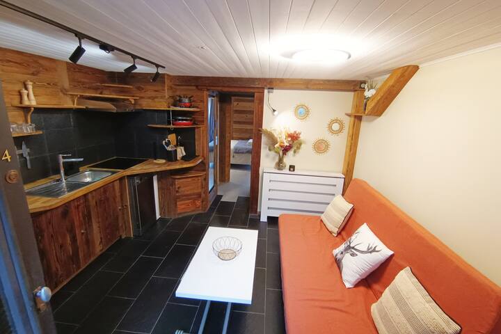 Petit Appart Charmant! - Montriond