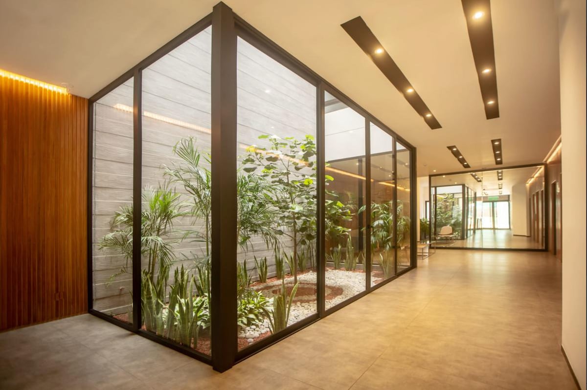 A modern corridor features expansive glass panels that create a connection between indoor and outdoor spaces. Lush greenery is visible through the glass, while soft lighting highlights the smooth flooring and wooden accents along the walls.