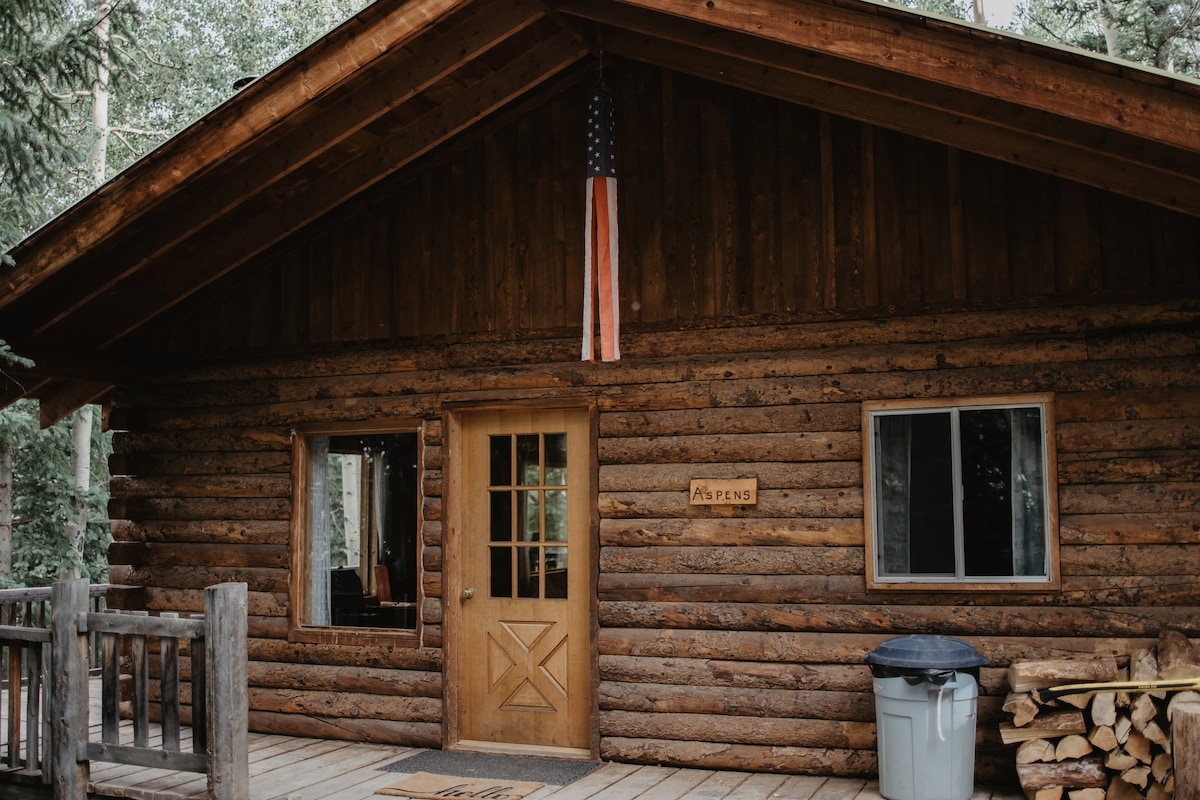 The rustic cabin exterior features a wooden facade with logs creating a natural aesthetic. A welcoming door is centered under a flag, with adjacent windows allowing natural light. A spacious deck provides an inviting entryway, and a trash bin is placed discreetly nearby.