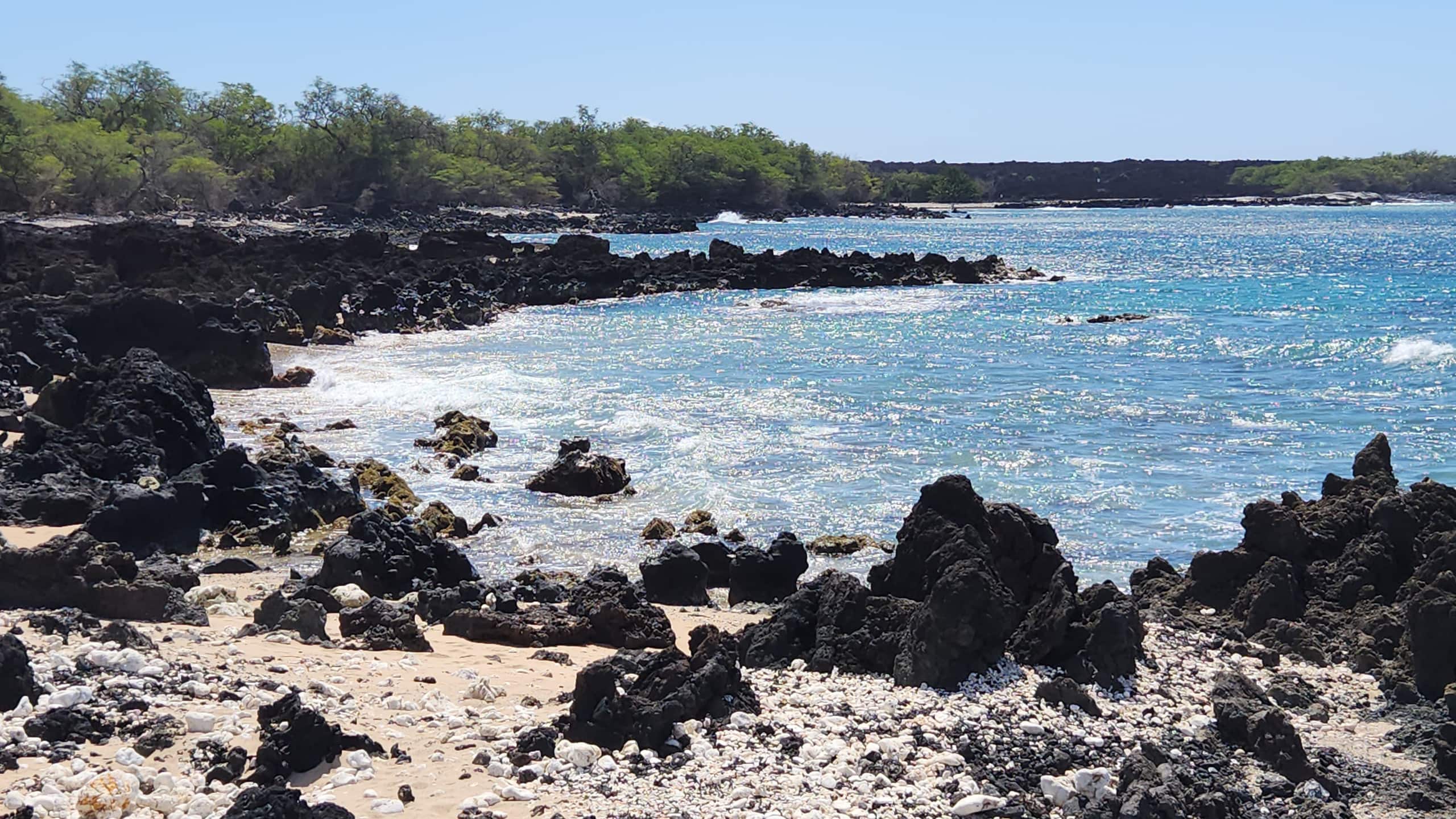 Condo in Kihei · ★4.92 · 2 bedrooms · 3 beds · 2 baths - Image 34