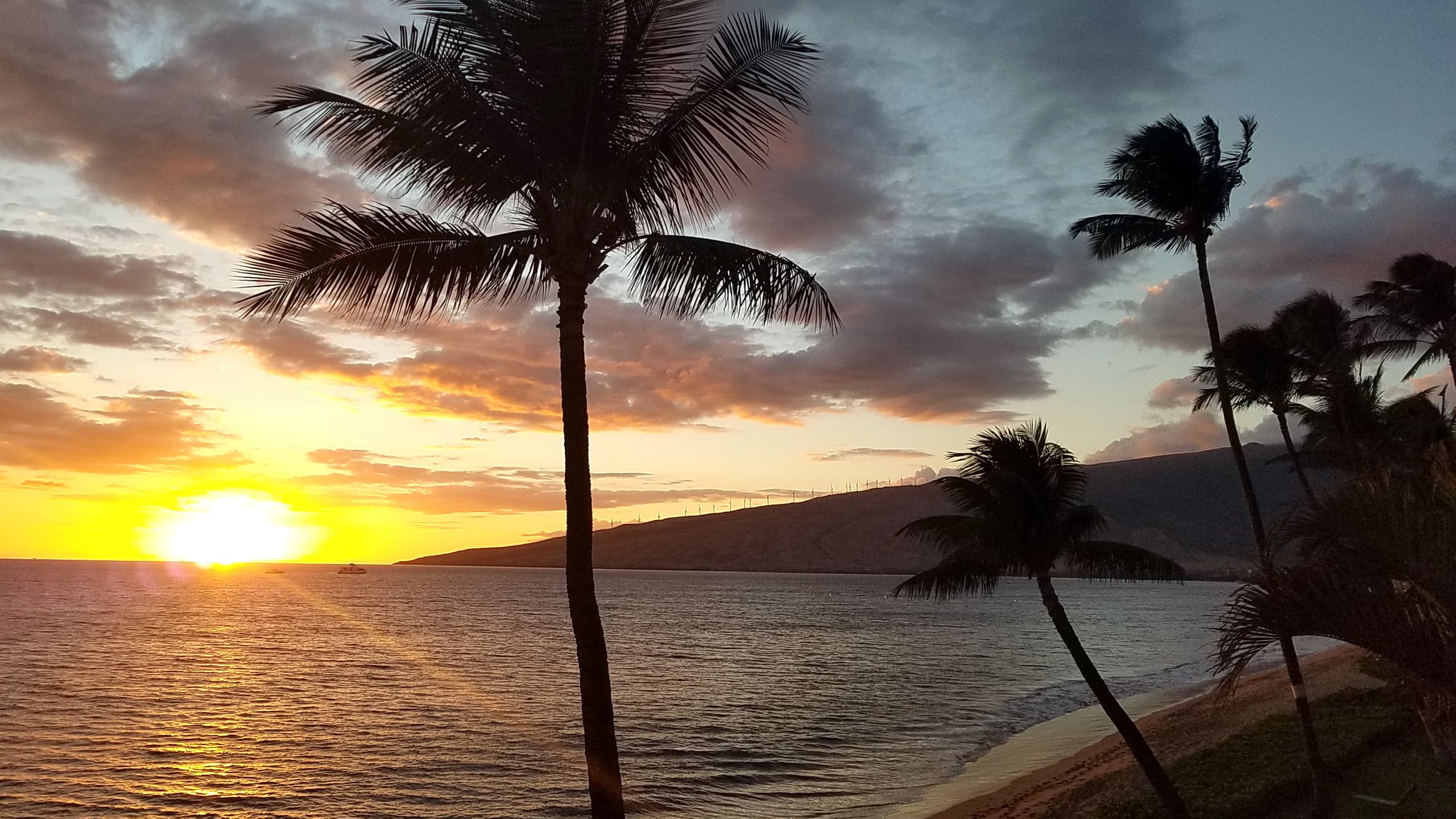 Condo in Kihei · ★4.92 · 2 bedrooms · 3 beds · 2 baths - Image 1